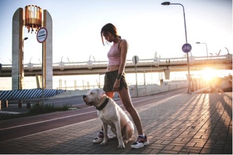 Description: Photo of Woman Standing by Her Dog